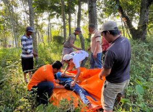 Polisi mengevakuasi jenazah pria gantung diri di pohon