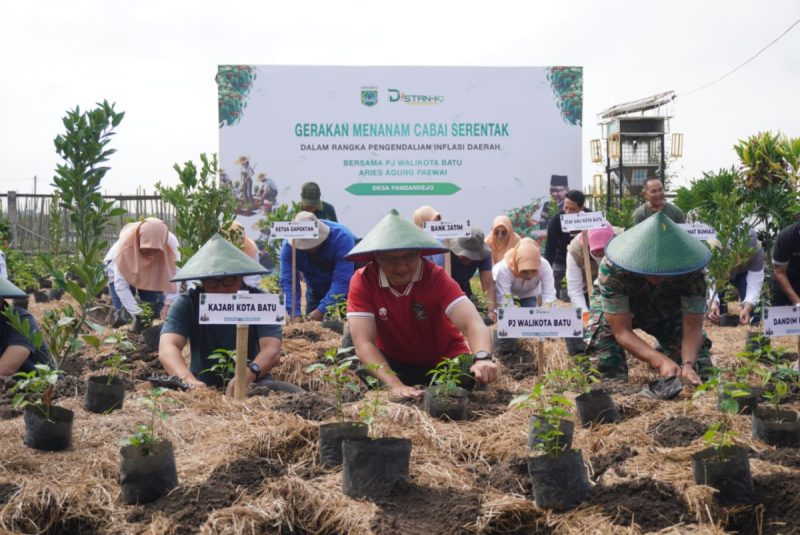 Pj. Wali Kota Batu Tanam Cabai Bantu Mengatasi Inflasi Daerah