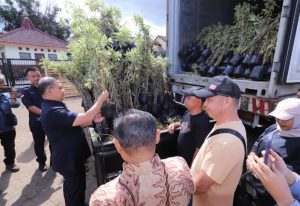 Tanaman hias dari Kota Batu mulai diekspor ke China, memasuki pasar internasional