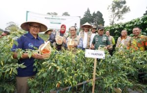 Pj. Wali Kota Batu Panen Cabai Dan Serahkan Bantuan Ke Gapoktan