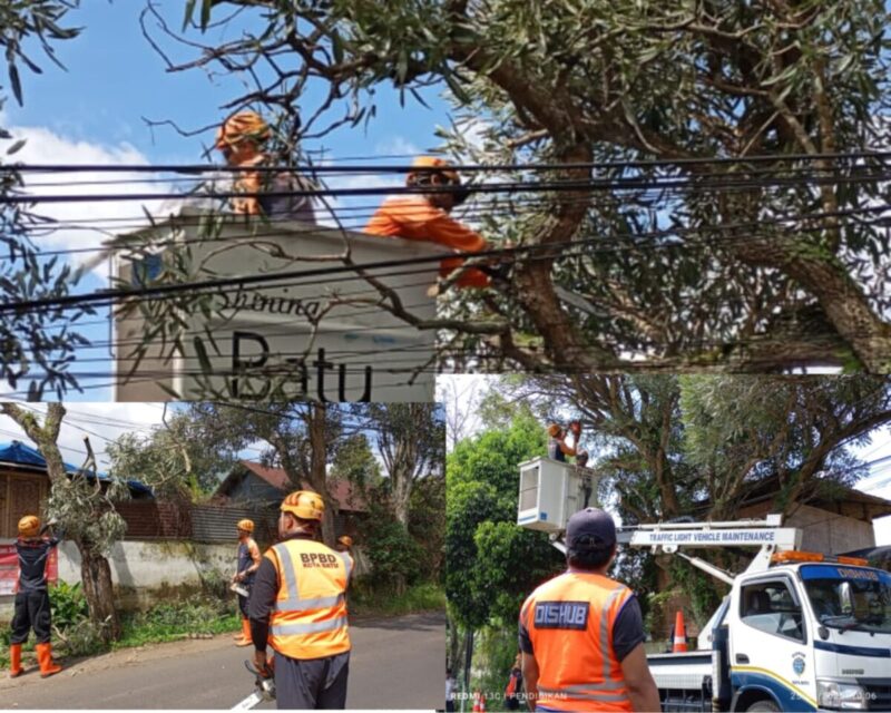 Dishub, PUPR, Serta BPBD Kolaborasi Penanganan Pohon Tumbang