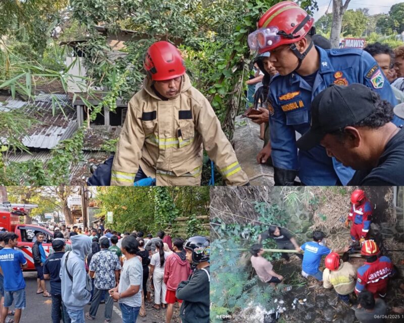 Kuda Lepas Kendali Tewas Terjun ke Sungai