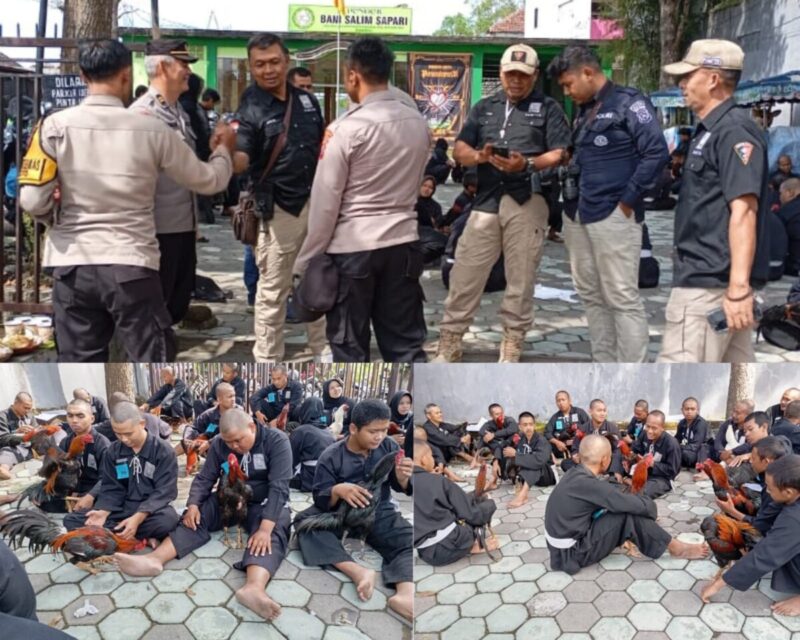 Tes Jago Sarana Seleksi Bagi Calon Warga SH Terate