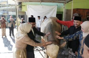 Kota Batu Salah Satu Penerima Sapi Kurban Presiden Prabowo