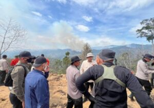 Wakapolda Riau Rokan Hulu Pimpin Langsung Pemadaman Karhutla