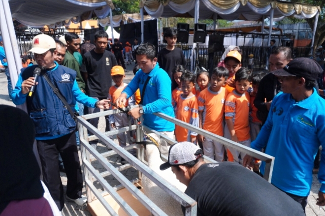 Tim juri yang dipimpin Prof. Ahmad Wahyudi sedang memeriksa kesehatan domba peserta kontes di Kota Batu