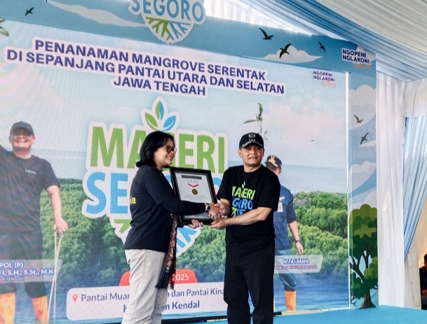 Pagar Hijau Pantura Jateng 1,3 Juta Mangrove Raih Rekor MURI