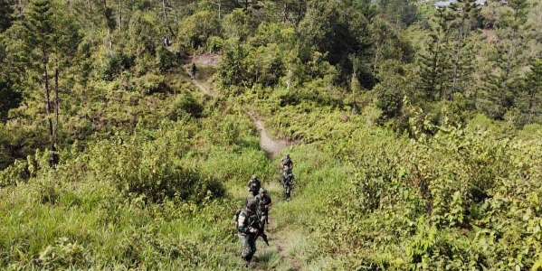 Foto udara ladang ganja ilegal yang digagalkan TNI di hutan Dusun Ngutok, Pegunungan Bintang, dengan ratusan batang tanaman.