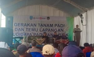 Gerakan Tanam Padi Serentak di Madiun Digenjot, Targetkan Ketahanan Pangan Jatim