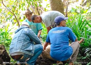 Bekti Bumi Ritual Kambing di Mata Air Jadi Simbol Perlawanan atas Krisis Air