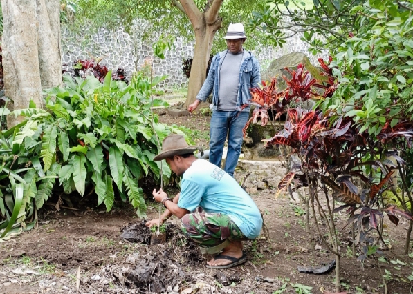 Ritual penyembelihan Hewan di area Sumber Air Samin, kemudian sebagai penanda di tanam juga pohon
