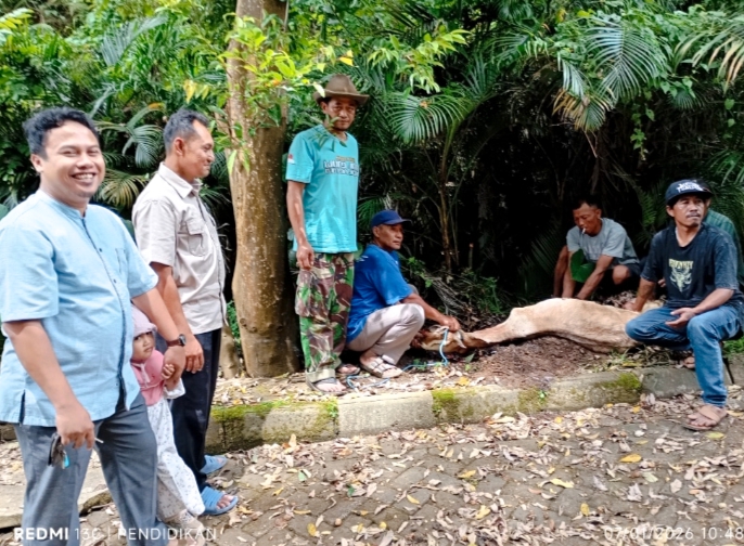 Penyembelihan Hewan ( Kambing ) di area Sumber air Demun yang dihari oleh salah satu dari TAPI Al-hikmah
