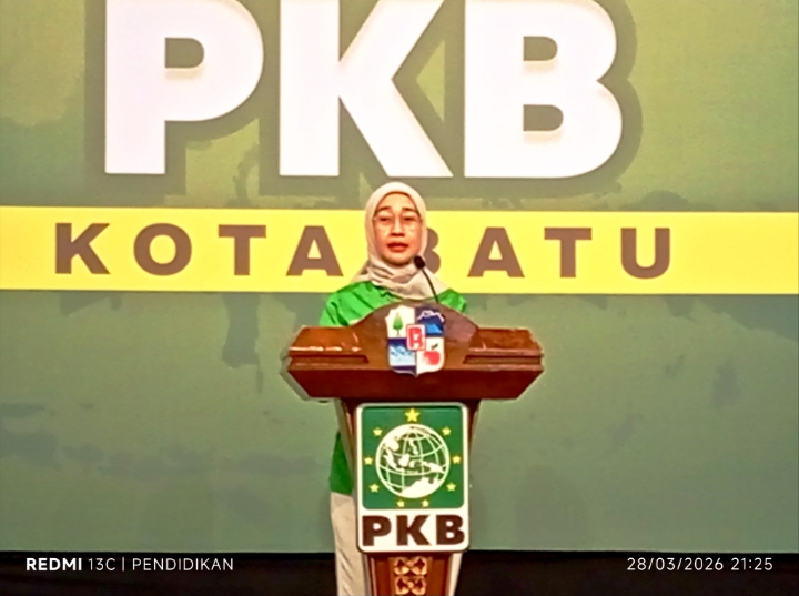 Wakil ketua DPP PKB