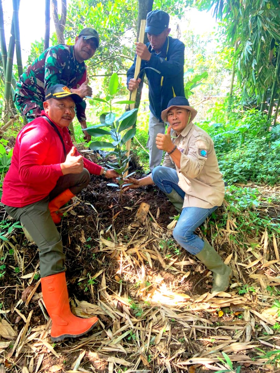 Ketua KTH Hijau Lestari bersama Babinsa serta LMDH dan Masyarakat ketika menanam pohon buah Nyamplung. 