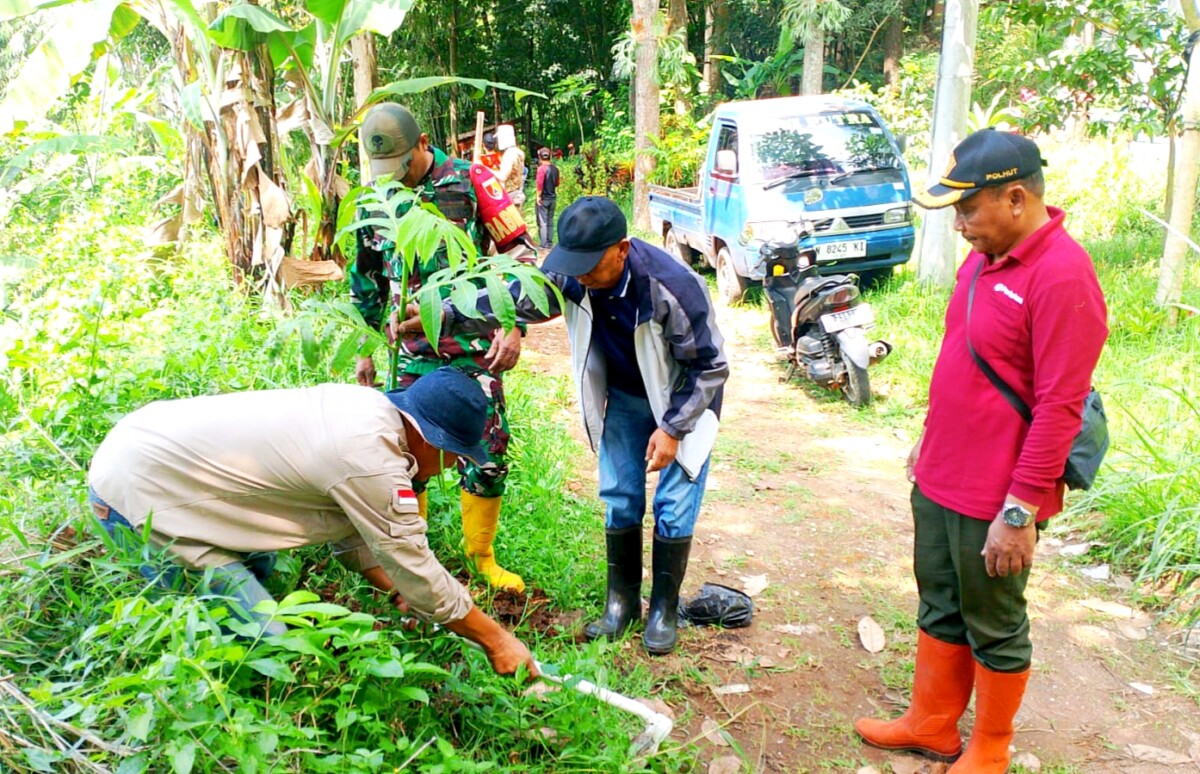 Semua yang terkait dengan antusias semangat, melakukan penghijauan dengan menanam pohon barang keras. 