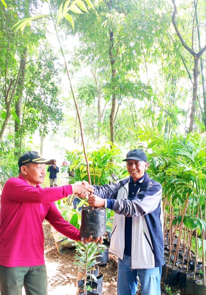LMDH ketika memberikan secara simbolis pohon buah Sukun kepada kepala Desa Sumberjo, sebagai tanda dimulainya penanaman pohon penyangga di lereng pemukiman warga masyarakat. 