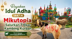 Rayakan Idul Adha 1447 H, Mikutopia Salurkan 7 Ekor Kambing Kurban untuk Warga Sekitar
