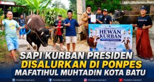 Sapi Kurban Presiden Disalurkan di Ponpes Mafatihul Muhtadin Kota Batu