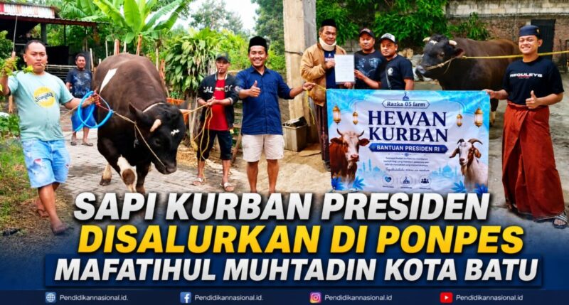 Sapi Kurban Presiden Disalurkan di Ponpes Mafatihul Muhtadin Kota Batu
