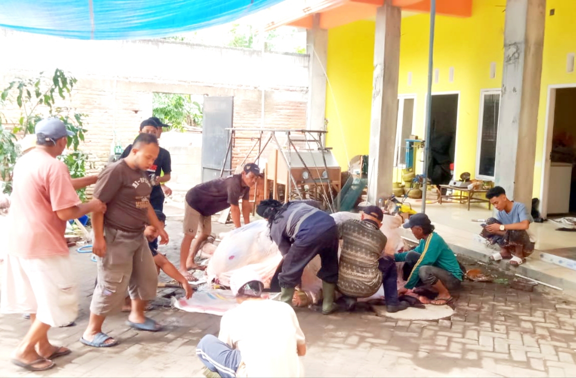Dengan antusias warga masyarakat beserta jajaran Ponpes melaksankan penyembelihan hewan kurban. 