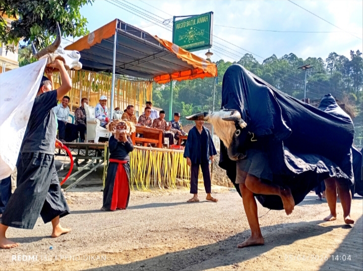 Kesenian Bantengan juga ikut serta dalam memeriahkan bersih Dusun. 