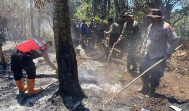 Tampak Petugas ketika melakukan pemadaman dengan cara manual.